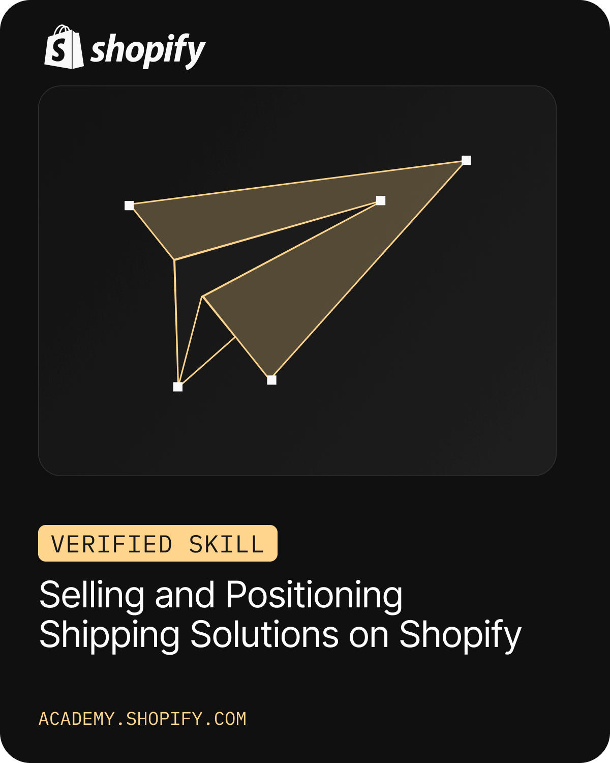 Shopify Positioning Shipping Solutions on Shopify Certification