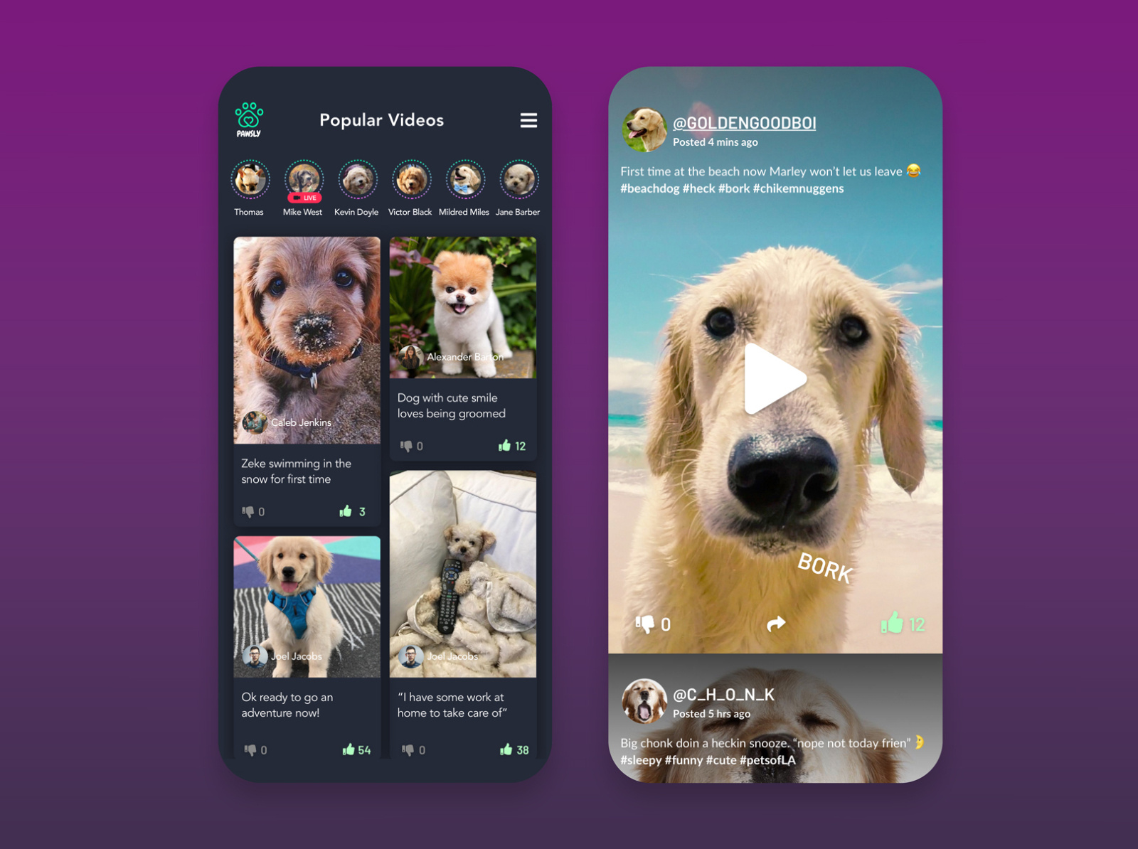 UI Concept for Pawsly: a social network for pets