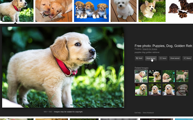 A google images result of a puppy with the "view images" button