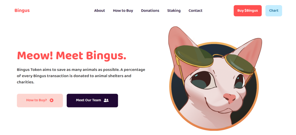 Bingus charity coin website