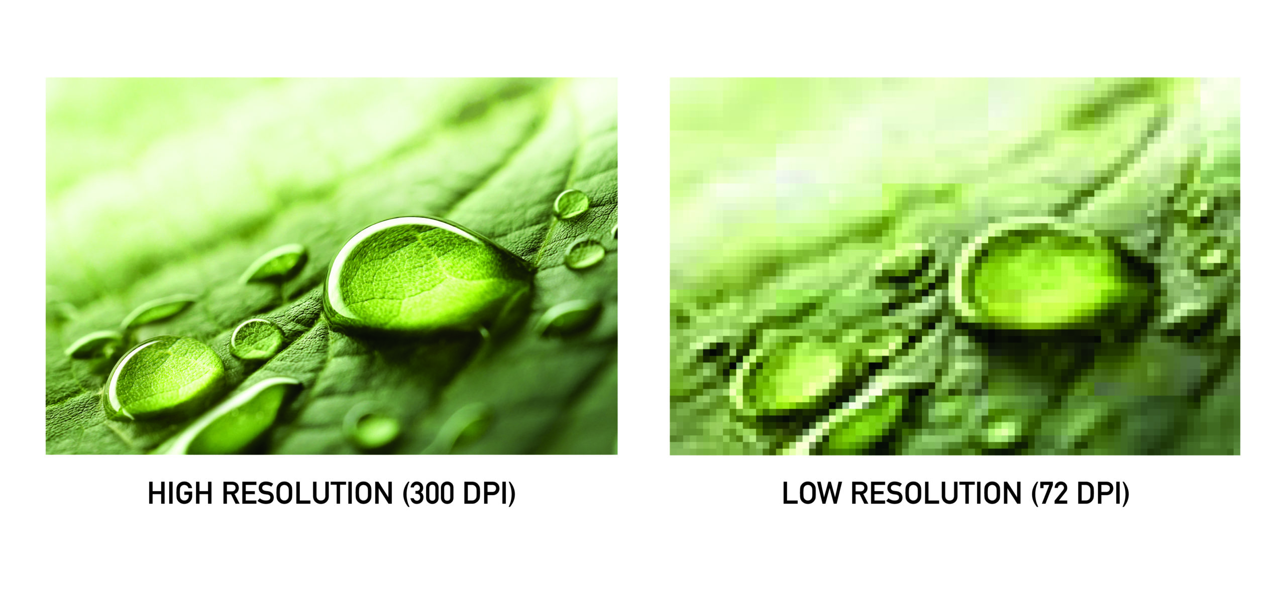 High Versus Low Resolution 